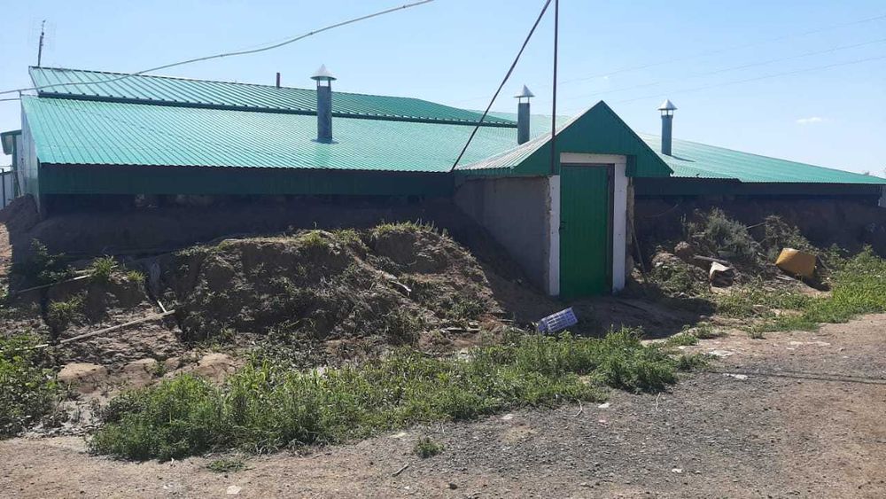 Продам базу - ГОТОВЫЙ БИЗНЕС