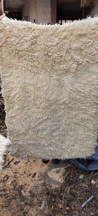 Китеници за легло и фотиоил