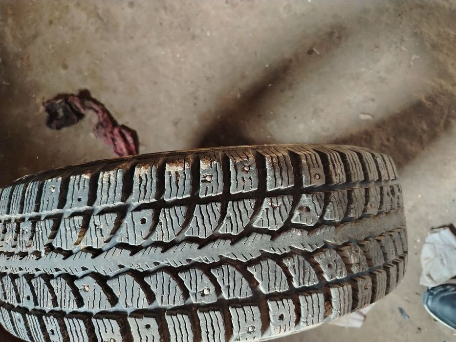 Kama mex balon 13 razmer bir yil quyilgan ideal sastayanada ikta bor