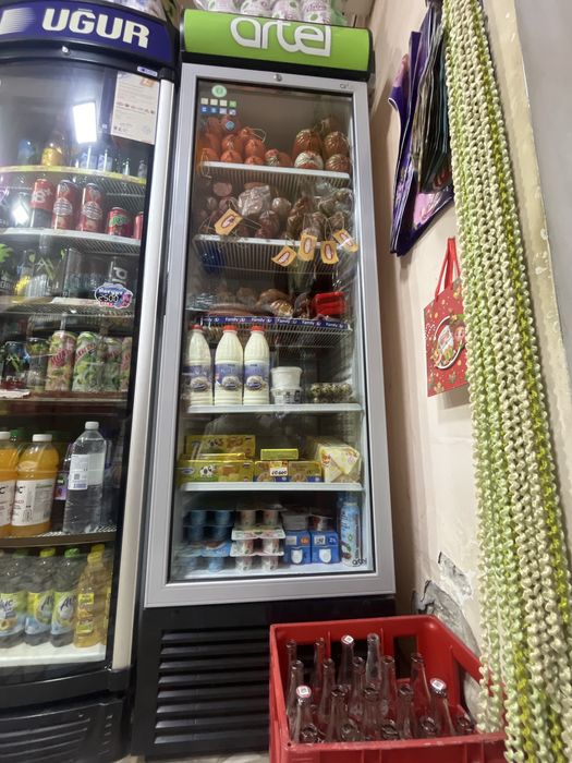 Artel holadelnik sifati alo