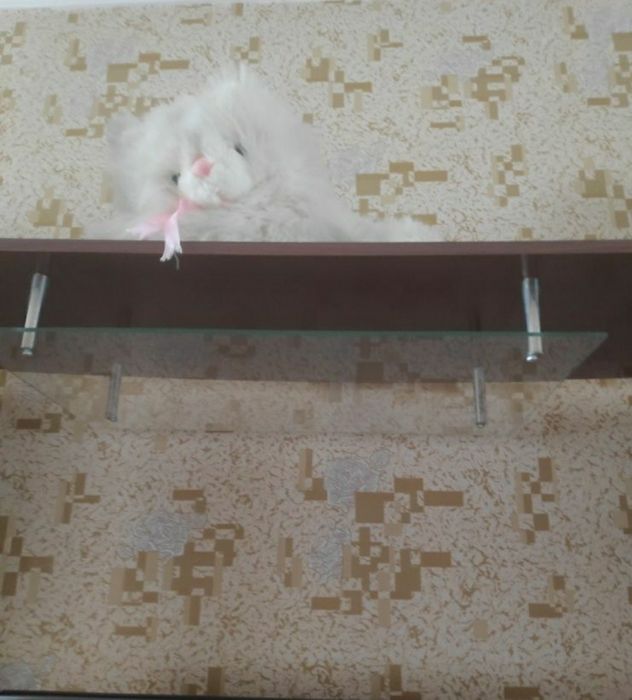 Горка для гостиной, с тумбой для телевизора.