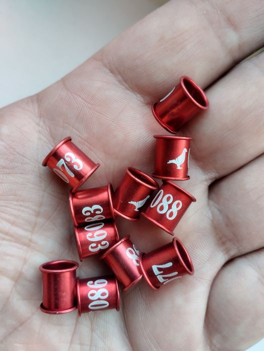 Кольца для голубей 8 мм