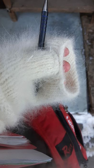 Носки Собачьи 8000