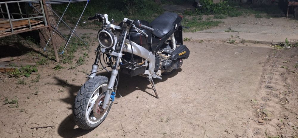 Peda Hornet V2 2012