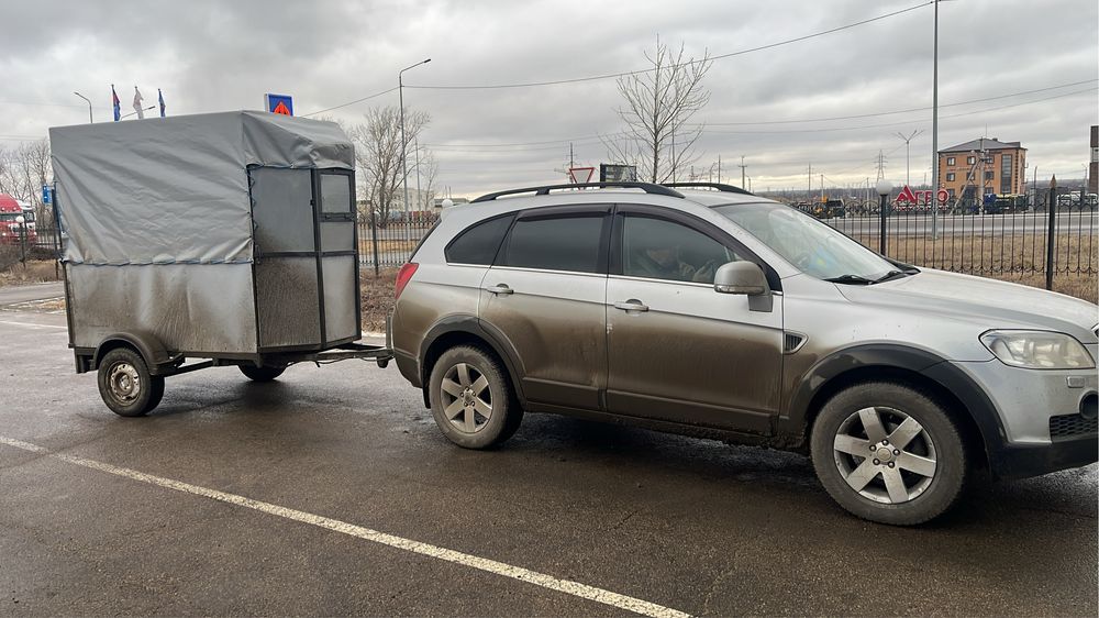 Услуга коневозки.