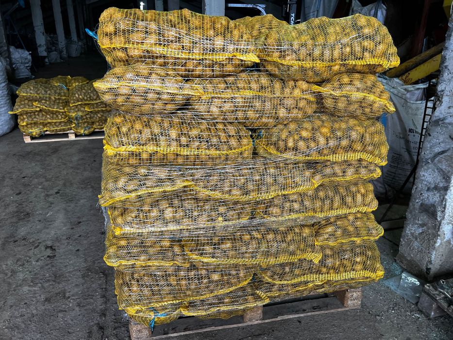 Картофи Сорая 0,40 лв