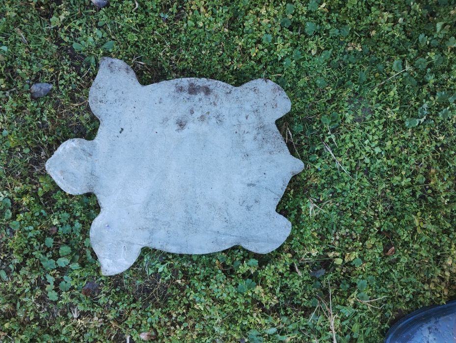 Костенурки от бетон