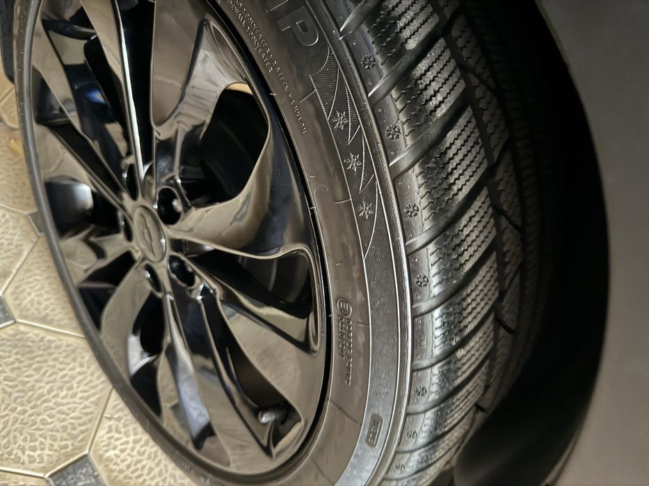 Treker 1 / 2 ga monza malibuga r19