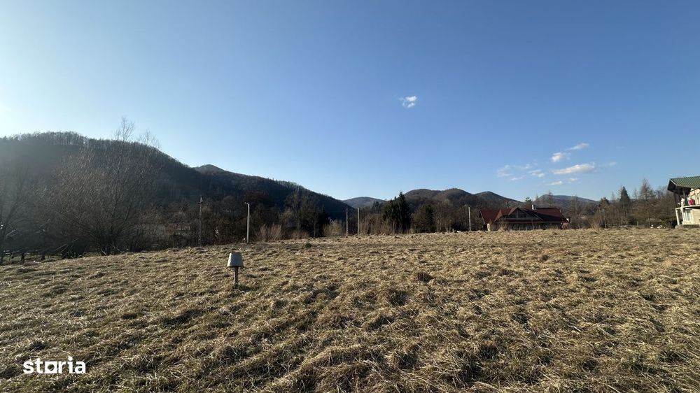 Teren intravilan, 25 ari, zona Firiza