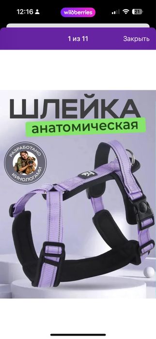 Шлейка для собак