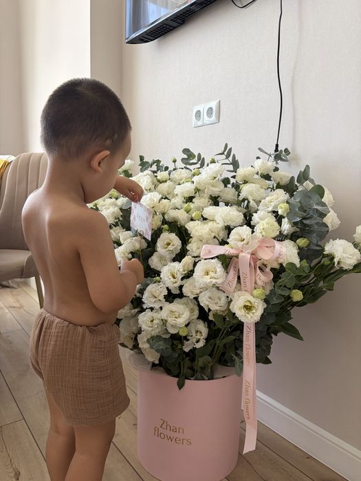 продам живые цветы