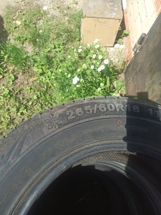 Зимняя резина Triangle