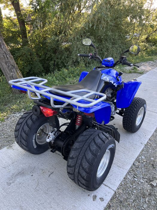 Kymco kxr 250 automat
