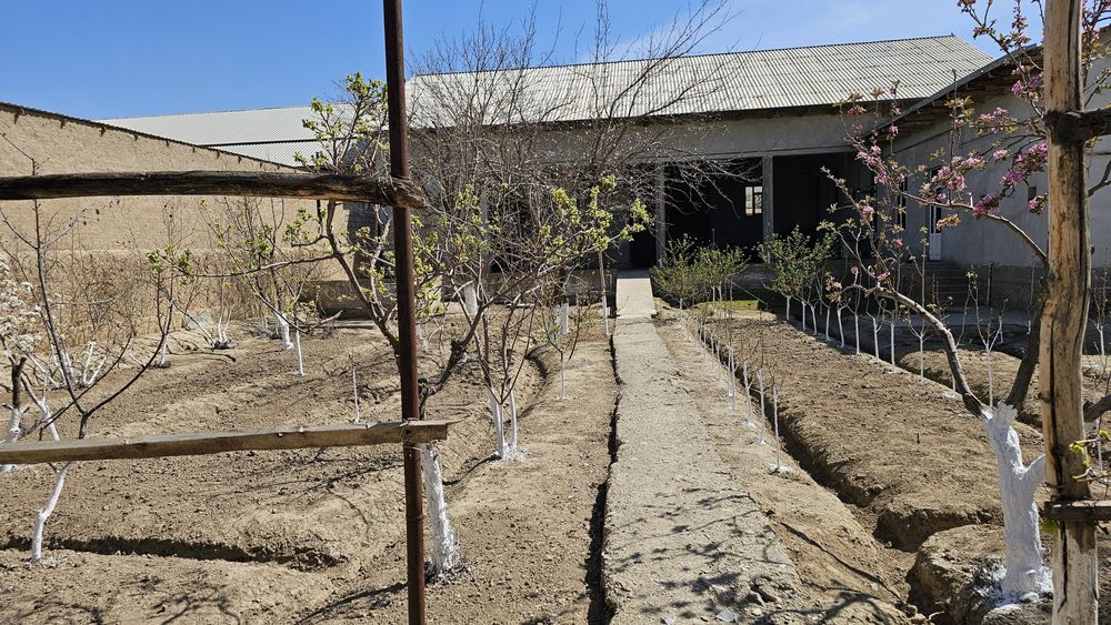 Келишамиз янги иморат.