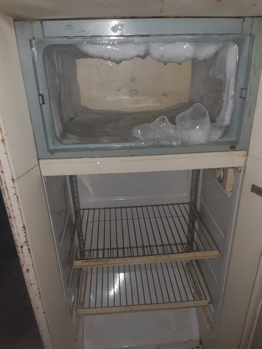 Muzlatkic.  Rasiski boyi 150 . iwlayotgan yaxwi zor iwledi.