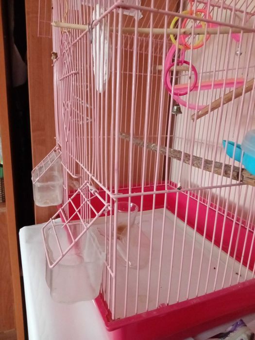 Клетка для попугая с 8 предметами