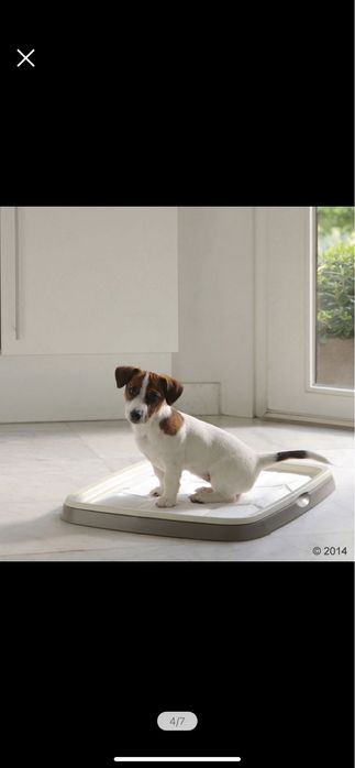 Tavita toaleta Savic Puppy Trainer