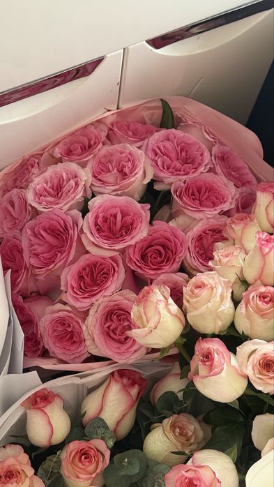 Срочно, продаются цветы, город шымкент