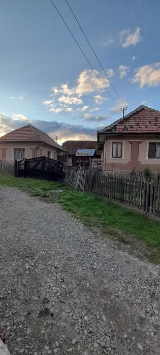 De vanzare  imobil : casa , bucatarie de vara , sura, gradina 30 ari