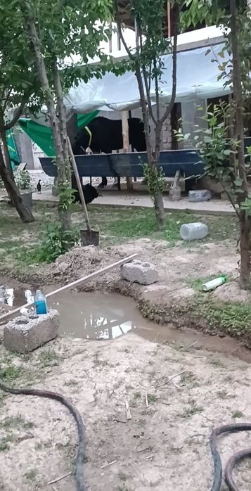 Bozsuv centrda 8 sotik yer sotiladi