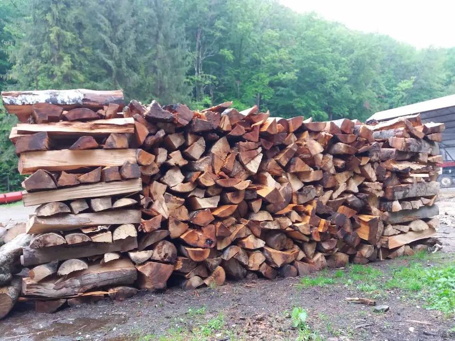lemne foc fag cu trasport la domiciliu