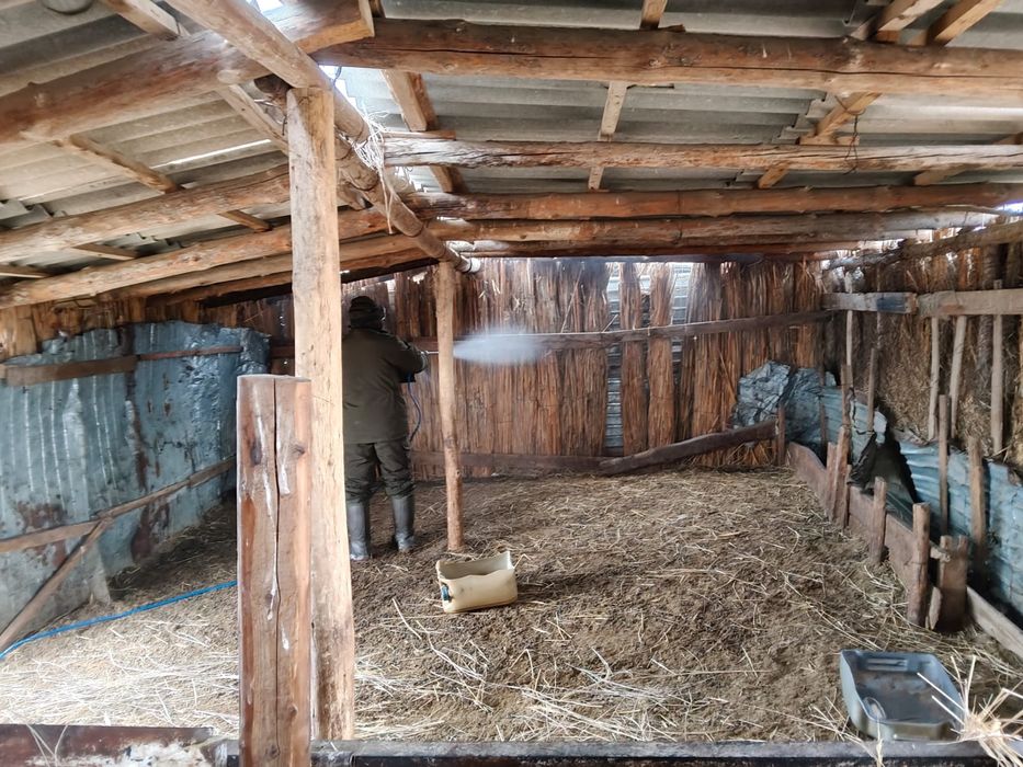 Дезинфекция. Кәсіби өңдеу.