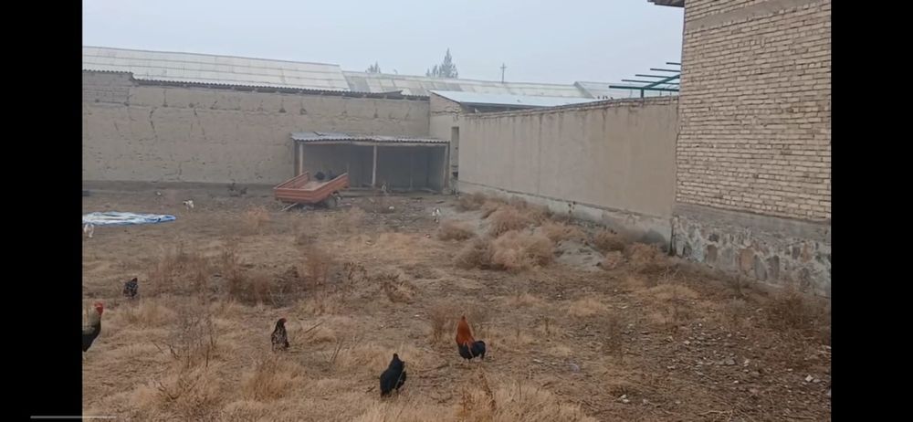 6 соток Ер сотилади