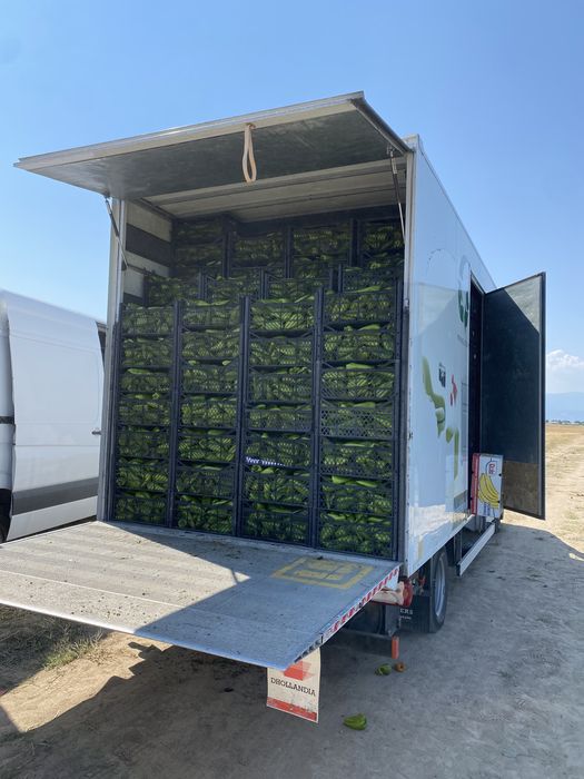 Пипер Капия Големи количества!