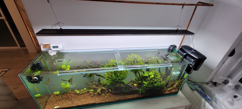 Vând acvariu complet utilat plus stand