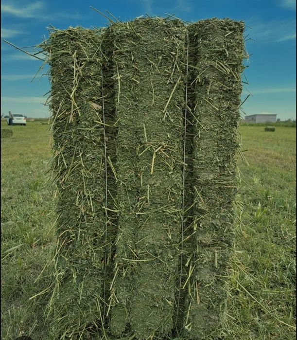 Beda sotiladi 38000 sum