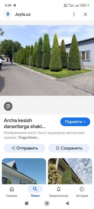 Archa kesish xizmati.