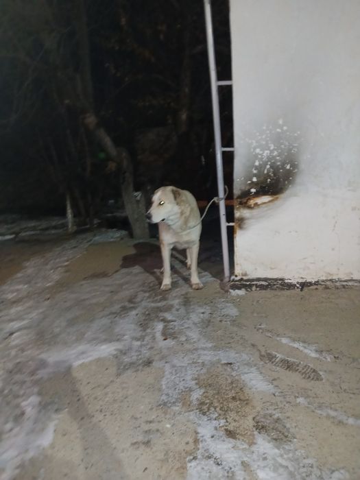 Срочно продам цена 45 000