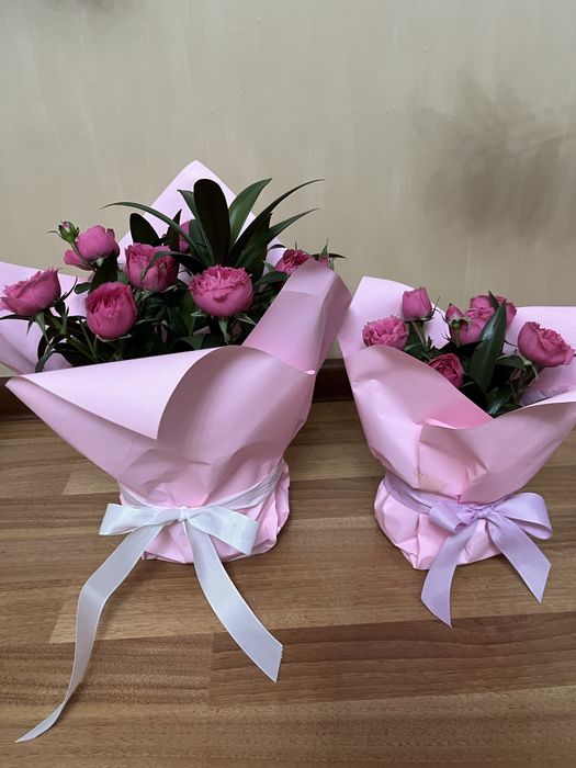 Цветы комнатные домашние