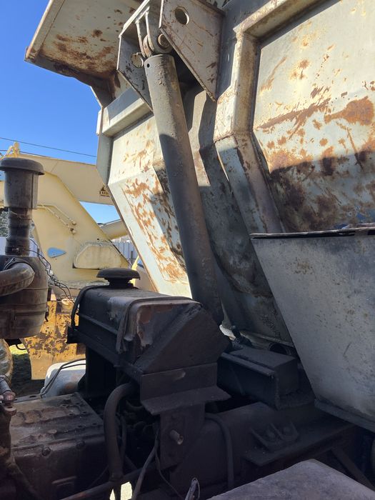 Raba basculanta Roman