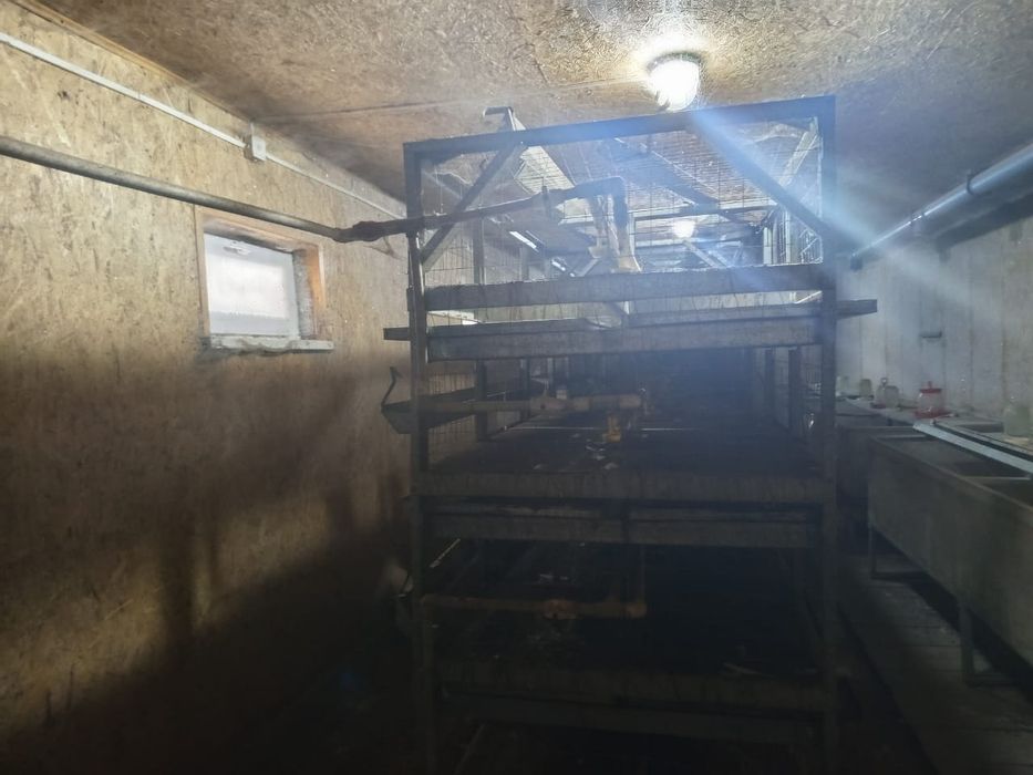 Клетки для содержания