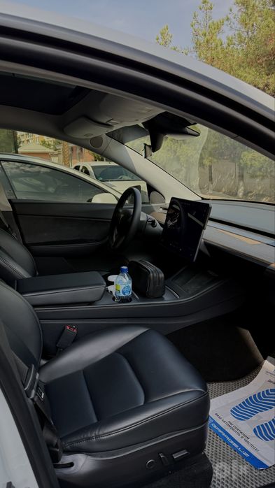 Tesla model Y dual