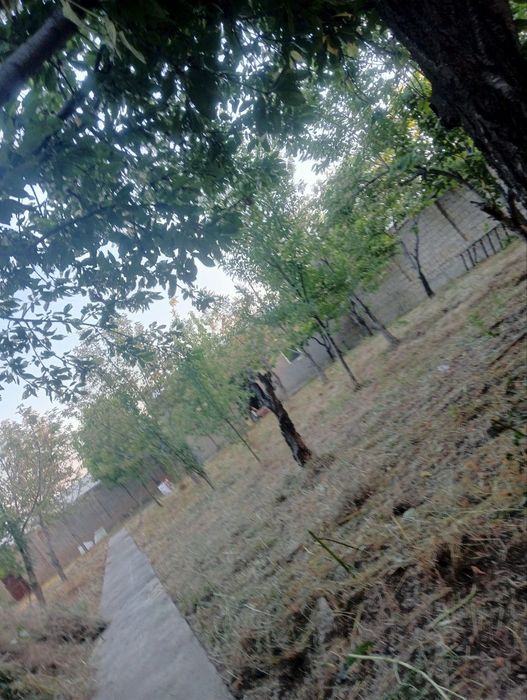 Участок 6 соток, 2 комнатная времянка есть (своя) Черняевка