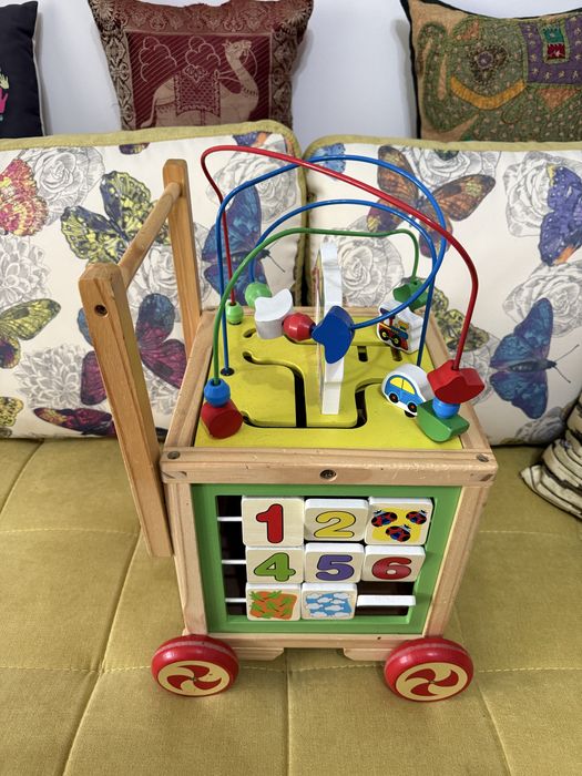 Vand jucarie de impins multifunctionala