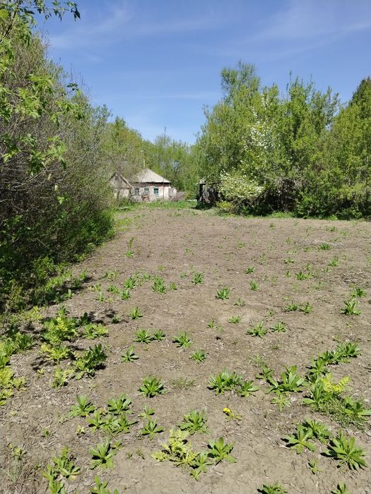 Продам дом под дачу