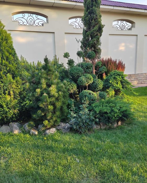 Landshaftniy dizayn (hammasi o’zimizzi ishla internetdan olinmagan)