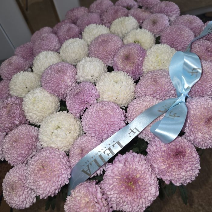 Хризантемы Момоко с буквой Ш или Е