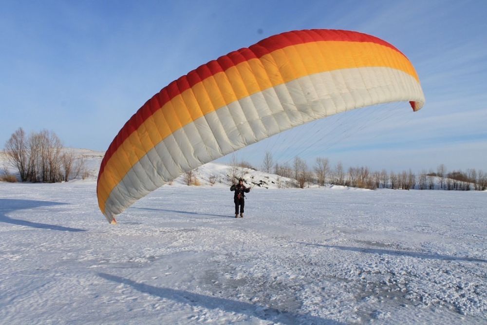 Параплан alligator