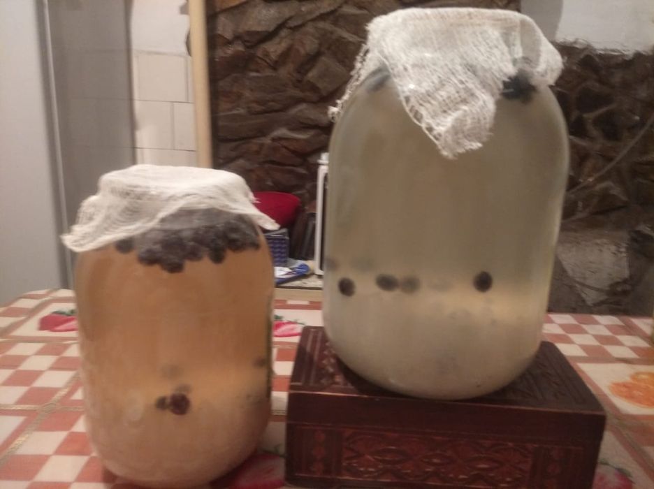 Индийский морской рис