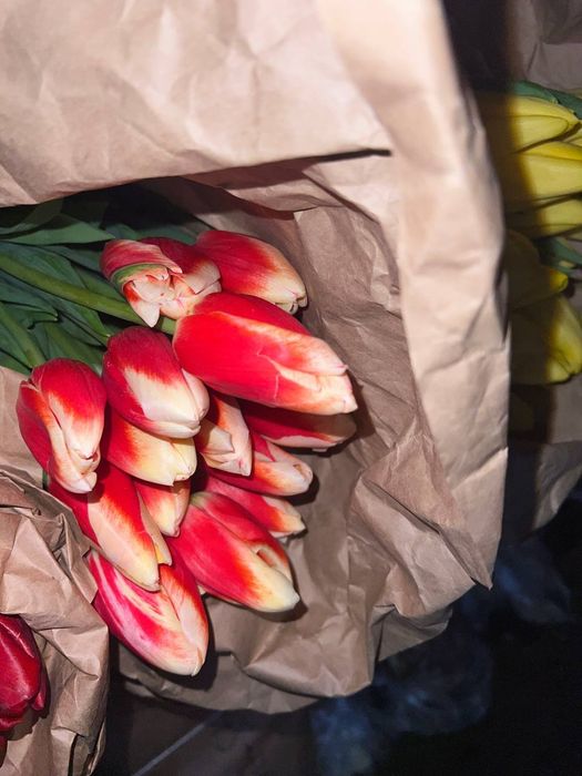 Тюлпаны Алматы опт розница