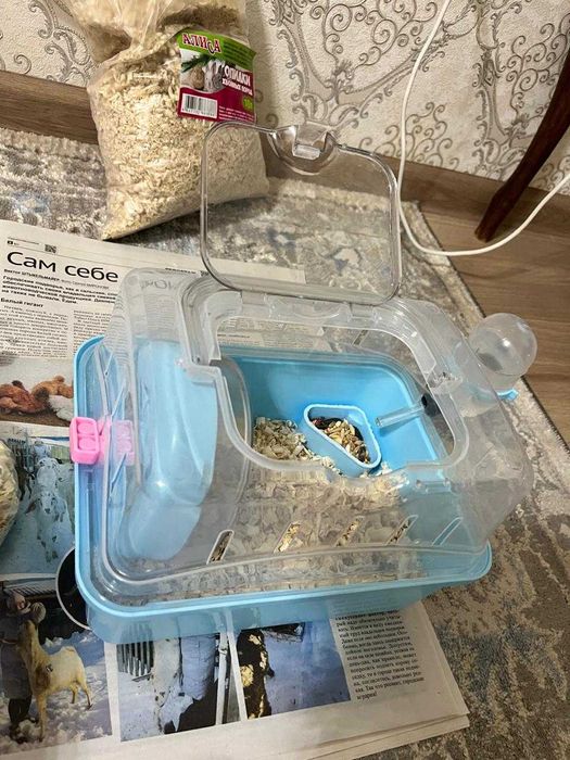 Хомяк с контейнером