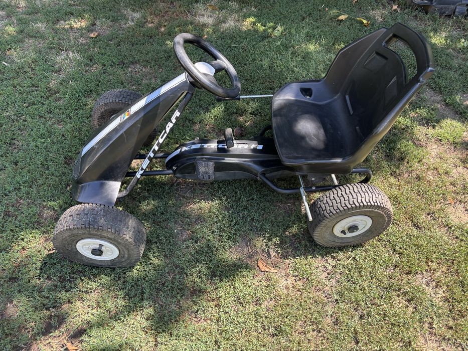 Kart Kettler  4 ani +