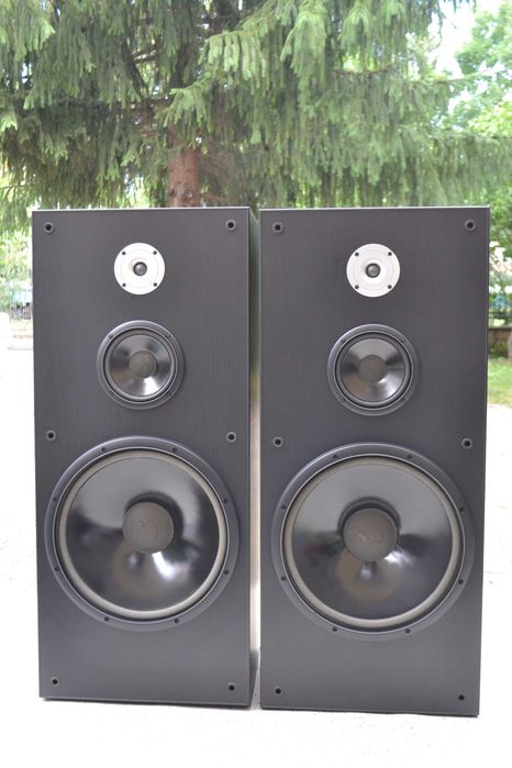 Boxe Infinity SM 150