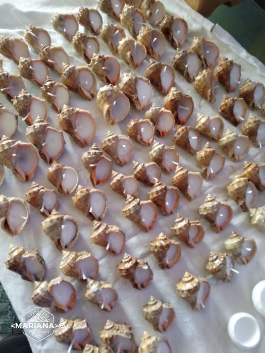 Свещи за подарък