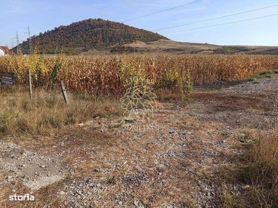 Teren 4606 mp-ideal investitie-Sarata