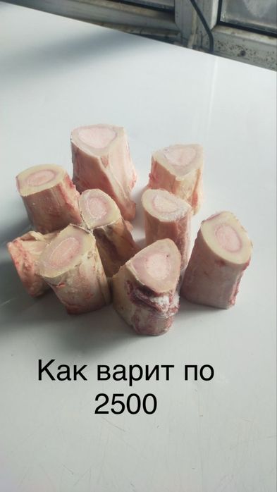 Жілік сүйек/Сахарная мозговая кость